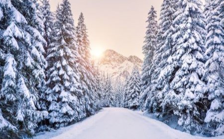 Update - December 2023